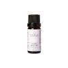 Oilwise Lavender Oil 10 ml